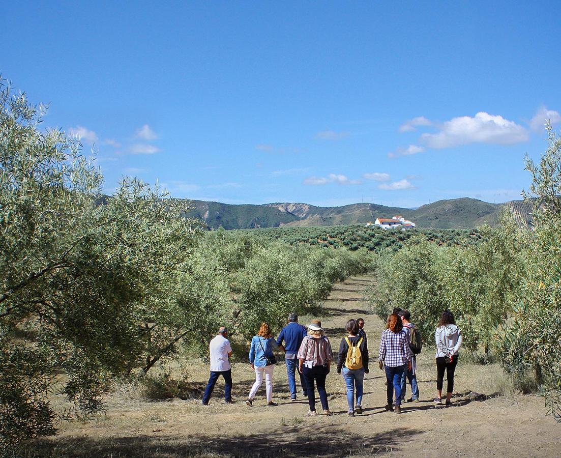 Cortijo Alzamigaja Villa Archidona Exterior foto