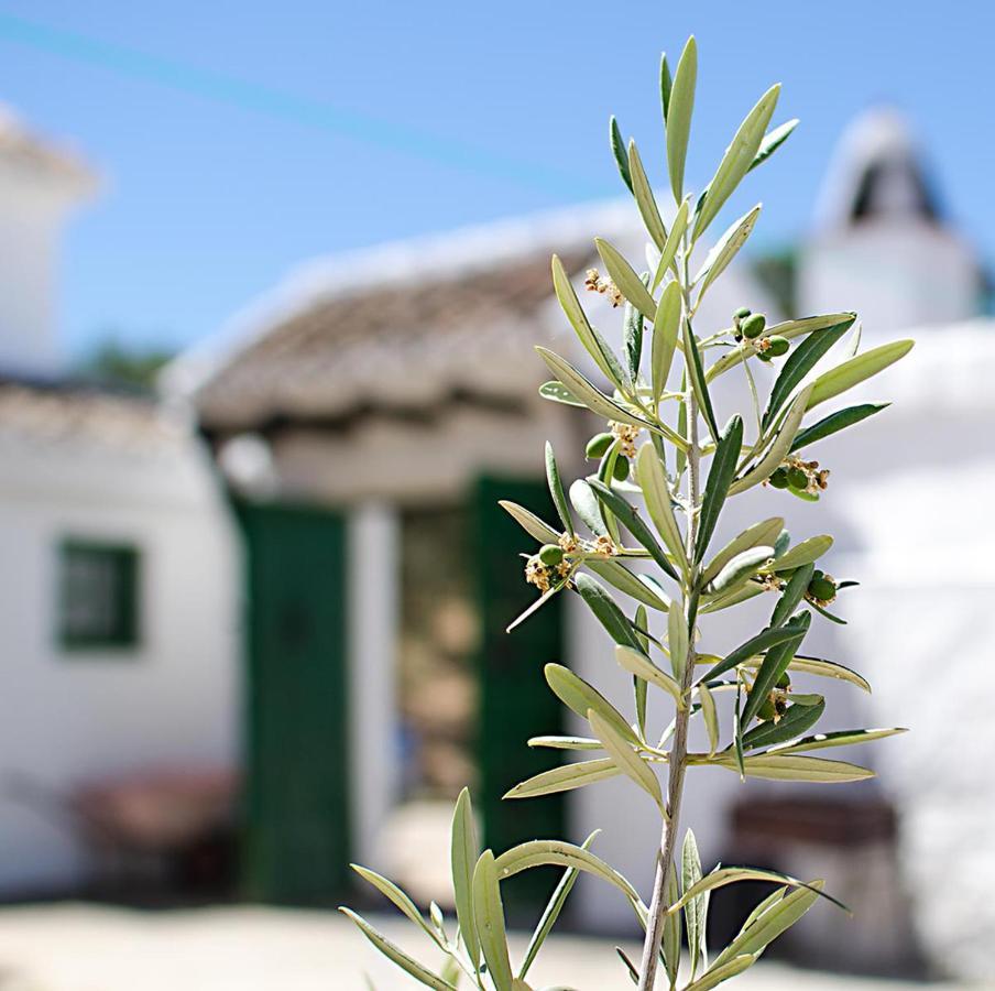 Cortijo Alzamigaja Villa Archidona Exterior foto